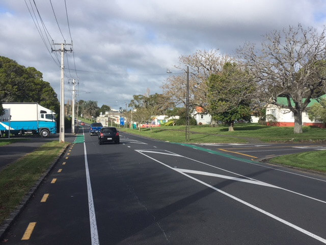 Carringtonn Rd in Mt Albert