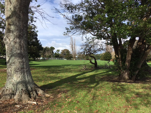 Fowlds Park in Mt Albert